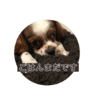 毎日そうすけ 2（個別スタンプ：6）