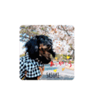 サスケありがとう♪忘れないよ♡（個別スタンプ：5）