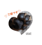サスケありがとう♪忘れないよ♡（個別スタンプ：7）