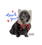 サスケありがとう♪忘れないよ♡（個別スタンプ：10）