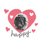 サスケありがとう♪忘れないよ♡（個別スタンプ：14）