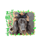 サスケありがとう♪忘れないよ♡（個別スタンプ：15）
