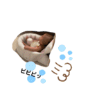 琉星第3弾（個別スタンプ：13）