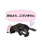 小豆ちゃんの日常②（個別スタンプ：2）