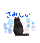 小豆ちゃんの日常②（個別スタンプ：13）