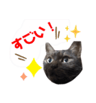 小豆ちゃんの日常②（個別スタンプ：15）