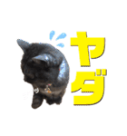 小豆ちゃんの日常②（個別スタンプ：16）