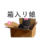 小豆ちゃんの日常②（個別スタンプ：22）