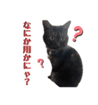小豆ちゃんの日常②（個別スタンプ：32）