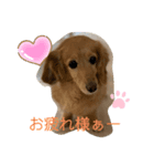 クレアちゃんの日常（個別スタンプ：2）