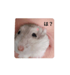 かわよこはる！！（個別スタンプ：2）