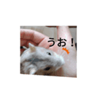 かわよこはる！！（個別スタンプ：7）
