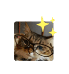 いぐさ猫のスタンプ（個別スタンプ：4）