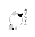 よくある猫のやつ（個別スタンプ：5）