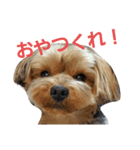 SoRamame 2（個別スタンプ：1）