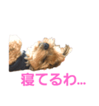 SoRamame 2（個別スタンプ：2）