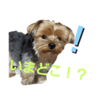 SoRamame 2（個別スタンプ：6）