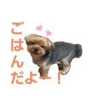 SoRamame 2（個別スタンプ：7）