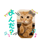 きなこなつの日常 2（個別スタンプ：8）