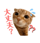 きなこなつの日常 2（個別スタンプ：12）