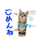 きなこなつの日常 2（個別スタンプ：13）