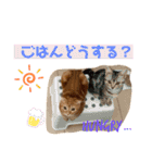 きなこなつの日常 2（個別スタンプ：17）