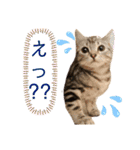 きなこなつの日常 2（個別スタンプ：20）