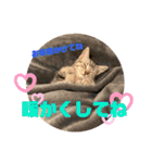 きなこなつの日常 2（個別スタンプ：28）