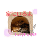 きなこなつの日常 2（個別スタンプ：29）