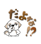 シーズー犬50『あいづち』（個別スタンプ：21）