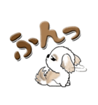 シーズー犬50『あいづち』（個別スタンプ：34）