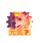 コーギーの梅ちゃん。（個別スタンプ：7）