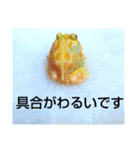 カエルさんベルツノガエル4（個別スタンプ：4）