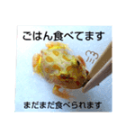 カエルさんベルツノガエル4（個別スタンプ：6）