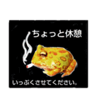 カエルさんベルツノガエル4（個別スタンプ：15）