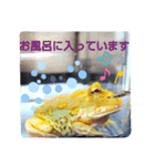 カエルさんベルツノガエル4（個別スタンプ：16）