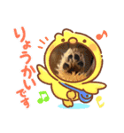 もちぞーのいる生活（個別スタンプ：10）