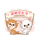 チワワ『こころとこはる』（個別スタンプ：20）