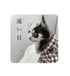 ちぃーとチャイ。（個別スタンプ：9）