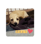 .すずちゃん.（個別スタンプ：2）