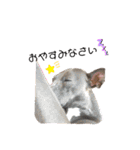 イタグレゆうちゃろう(♥ω♥*)（個別スタンプ：10）