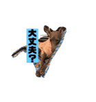 イタグレゆうちゃろう(♥ω♥*)（個別スタンプ：14）