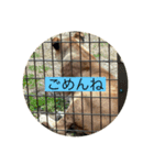 日常あいさつ（動物）（個別スタンプ：8）