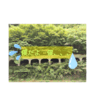 草木ッズ（個別スタンプ：4）