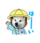 ちろるとくぅちゃん（個別スタンプ：1）
