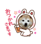 ちろるとくぅちゃん（個別スタンプ：8）