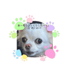 犬一匹（個別スタンプ：5）