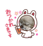 犬一匹（個別スタンプ：7）