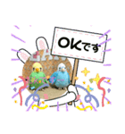 インコスタンプ第2号（個別スタンプ：1）