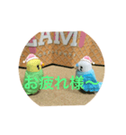 インコスタンプ第2号（個別スタンプ：8）